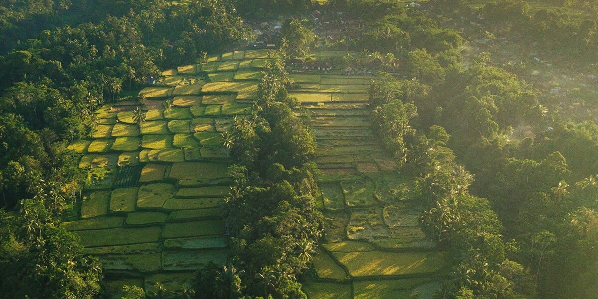 The A350s Secret Weapon: How Airbus Is Beating Boeing on Fuel Economy